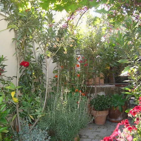 Casa Vulcano Holiday home *